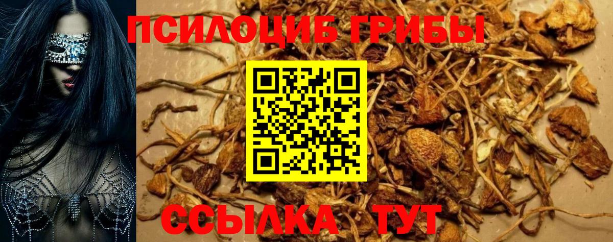 Долгопрудный  Псилоцибиновые грибы Magic Shrooms  Вход с VPN 